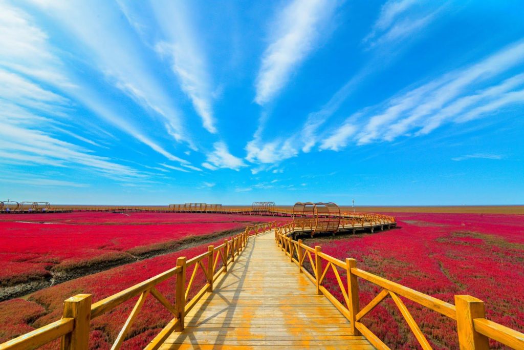 Червения плаж Панджин, Китай