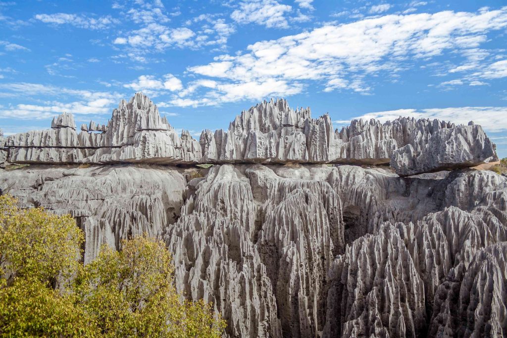 Гората на ножовете, Мадагаскар